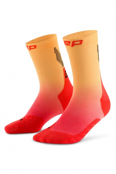 Vysoké ponožky GRADIENT