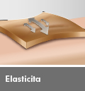 Elasticita